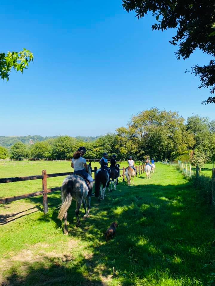 Sorties-en-prairie-cote-poney-Braine-le-Chateau Sorties-en-prairie-cote-poney-Braine-le-Chateau
