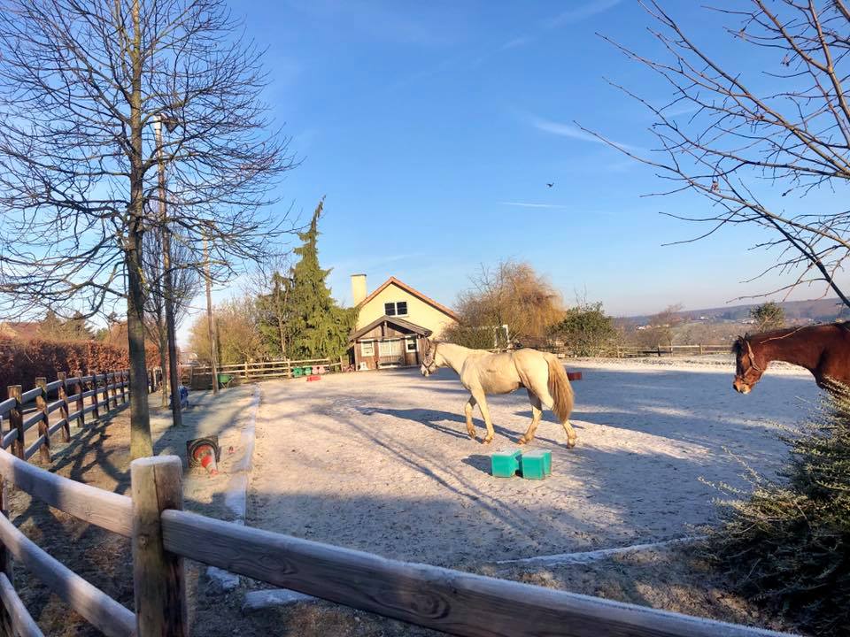 Une piste extérieure format dressage Une piste extérieure format dressage